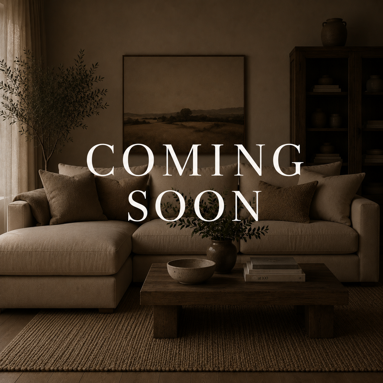 LIVING ROOM FURNITURE